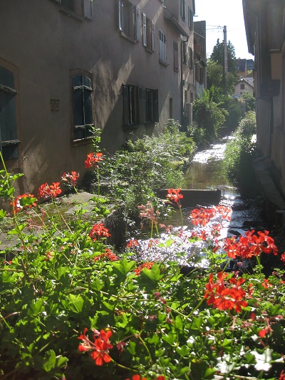 elzas